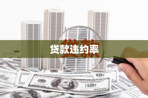 息县贷款违约率