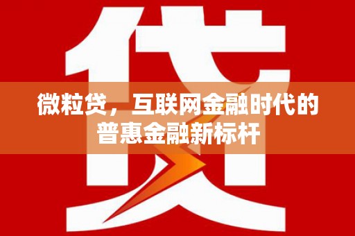 息县微粒贷，互联网金融时代的普惠金融新标杆