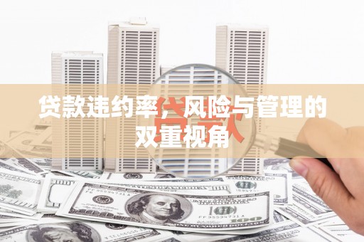 息县贷款违约率，风险与管理的双重视角