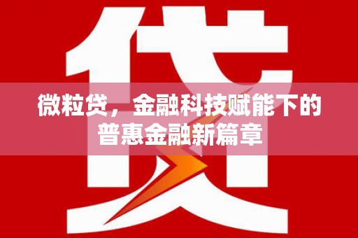 息县微粒贷，金融科技赋能下的普惠金融新篇章