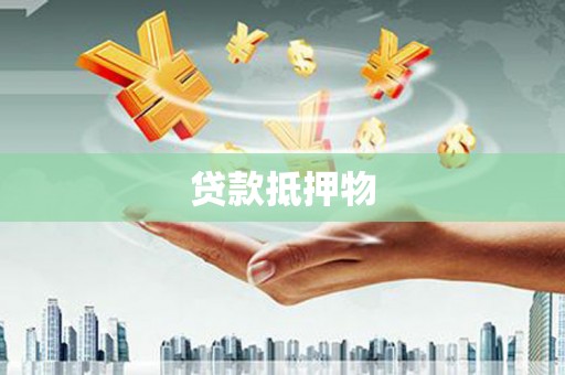 息县贷款抵押物