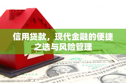 息县信用贷款，现代金融的便捷之选与风险管理