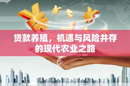 息县贷款养殖，机遇与风险并存的现代农业之路