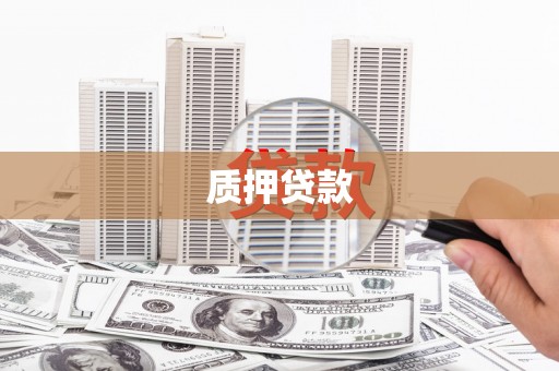 息县质押贷款