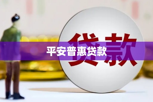 息县平安普惠贷款
