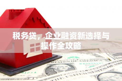 息县税务贷，企业融资新选择与操作全攻略