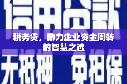 息县税务贷，助力企业资金周转的智慧之选