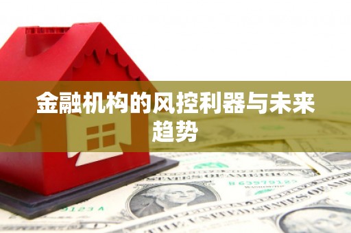 息县金融机构的风控利器与未来趋势