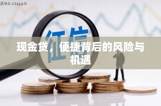 息县现金贷，便捷背后的风险与机遇