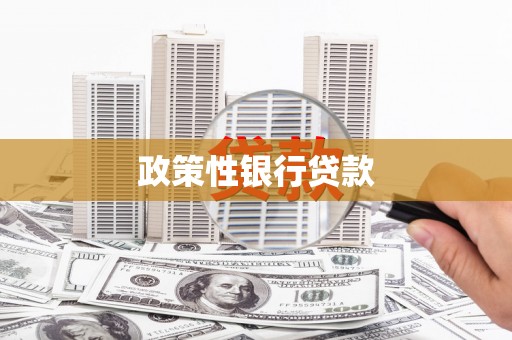 息县政策性银行贷款