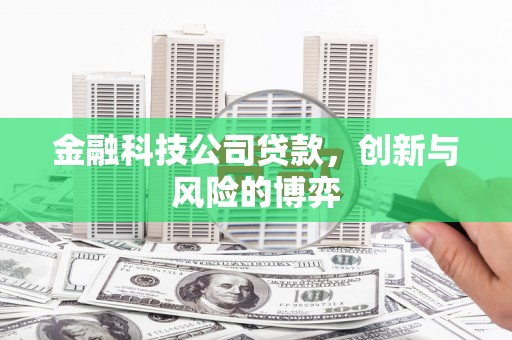 息县金融科技公司贷款，创新与风险的博弈
