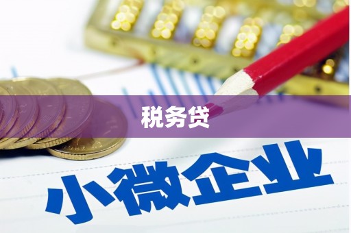 息县税务贷