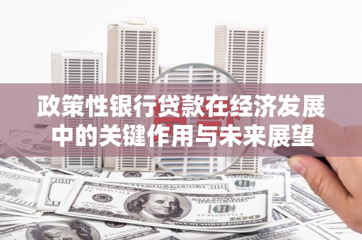 息县政策性银行贷款在经济发展中的关键作用与未来展望
