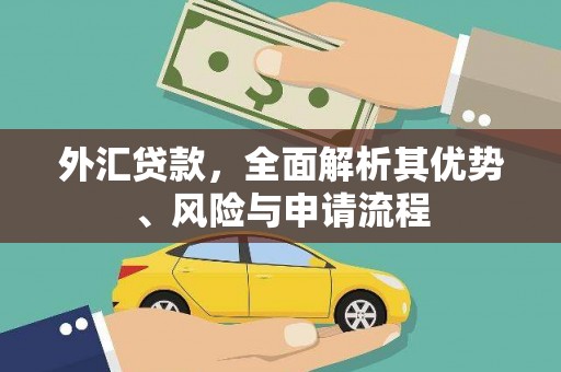 息县外汇贷款，全面解析其优势、风险与申请流程