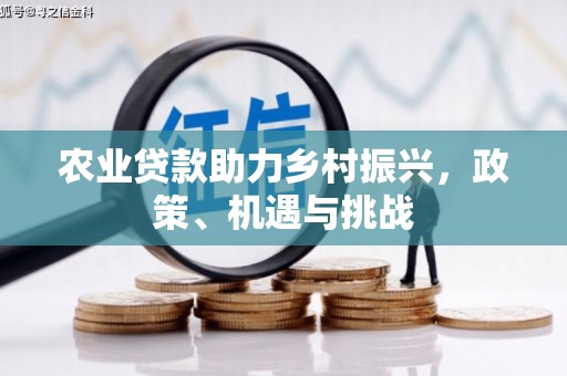 息县农业贷款助力乡村振兴，政策、机遇与挑战