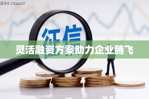 息县灵活融资方案助力企业腾飞