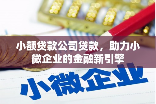 息县小额贷款公司贷款，助力小微企业的金融新引擎