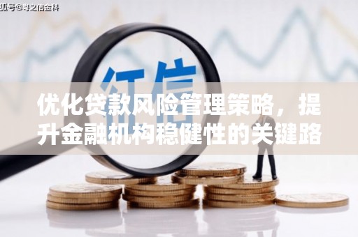 息县优化贷款风险管理策略，提升金融机构稳健性的关键路径