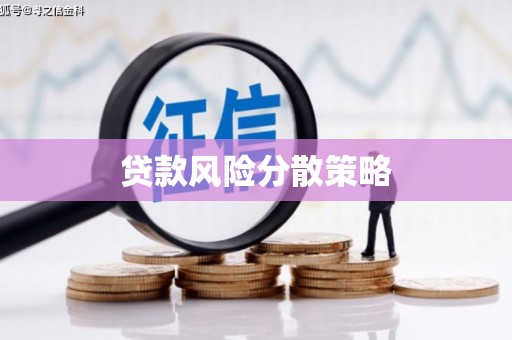 息县贷款风险分散策略