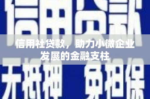 息县信用社贷款，助力小微企业发展的金融支柱