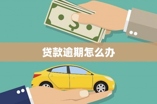 息县贷款逾期怎么办