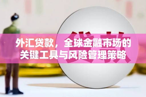 息县外汇贷款，全球金融市场的关键工具与风险管理策略