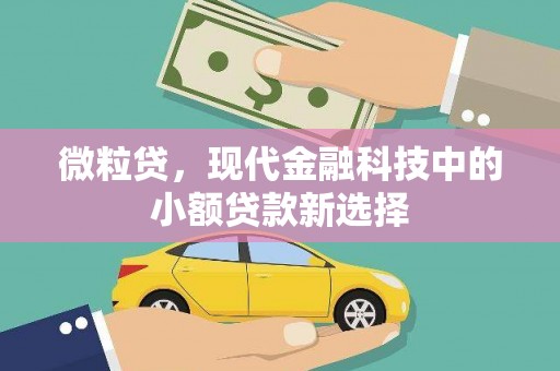 息县微粒贷，现代金融科技中的小额贷款新选择