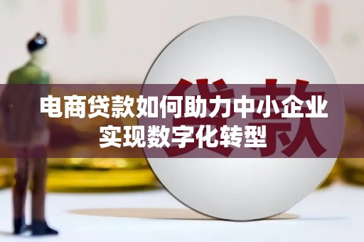 息县电商贷款如何助力中小企业实现数字化转型