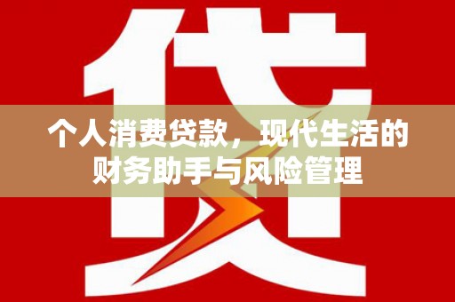 息县个人消费贷款，现代生活的财务助手与风险管理