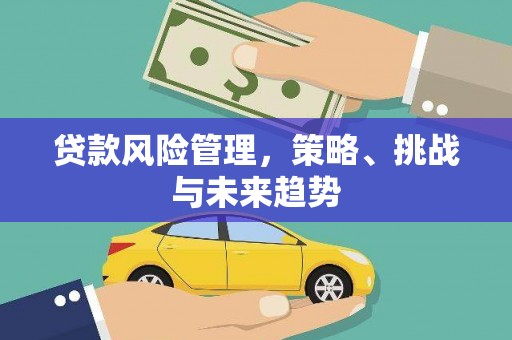 息县贷款风险管理，策略、挑战与未来趋势