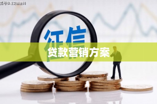 息县贷款营销方案