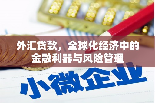 息县外汇贷款，全球化经济中的金融利器与风险管理
