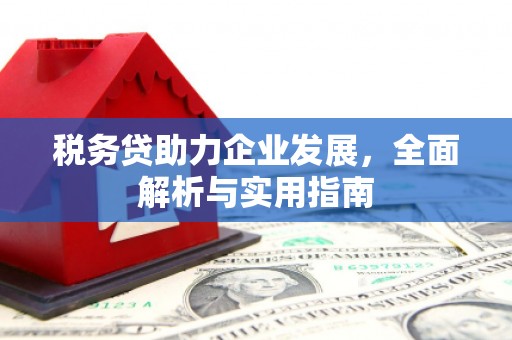 息县税务贷助力企业发展，全面解析与实用指南