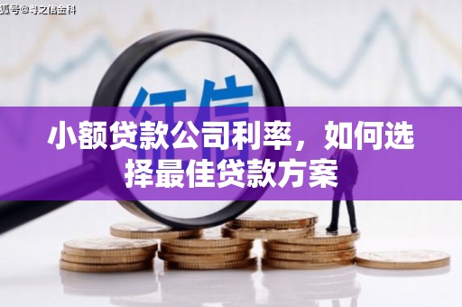息县小额贷款公司利率，如何选择最佳贷款方案