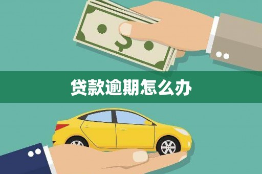 息县贷款逾期怎么办
