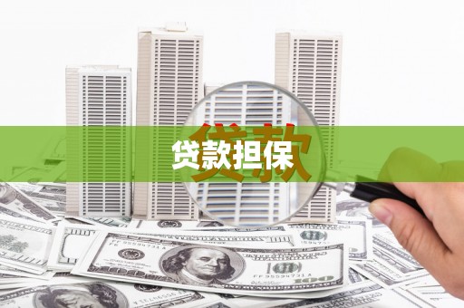 息县贷款担保