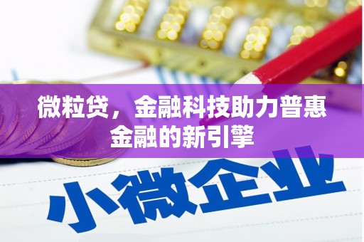 息县微粒贷，金融科技助力普惠金融的新引擎
