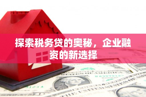息县探索税务贷的奥秘，企业融资的新选择