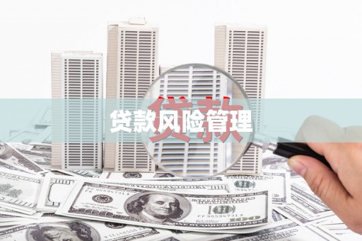 息县贷款风险管理