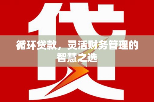 息县循环贷款，灵活财务管理的智慧之选