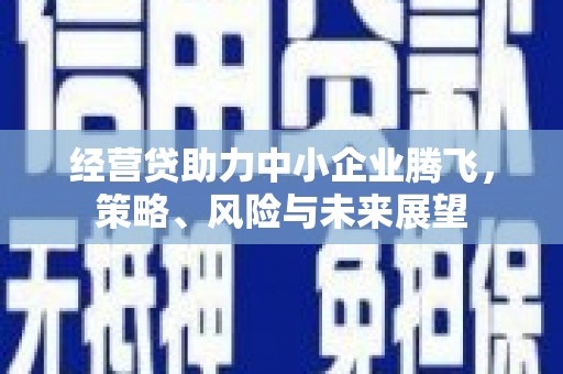 息县经营贷助力中小企业腾飞，策略、风险与未来展望