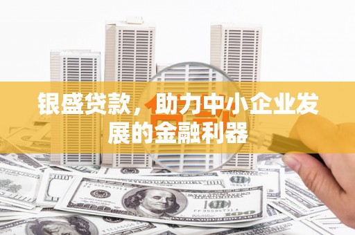 息县银盛贷款，助力中小企业发展的金融利器