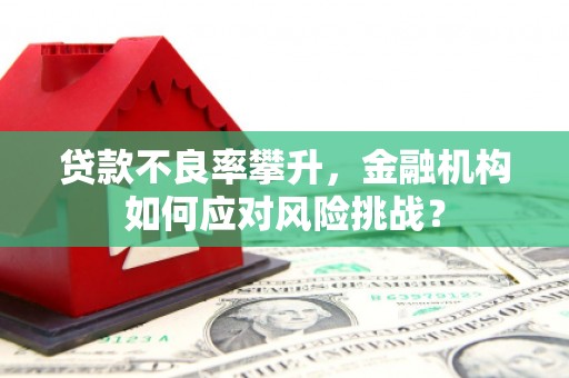 息县贷款不良率攀升，金融机构如何应对风险挑战？