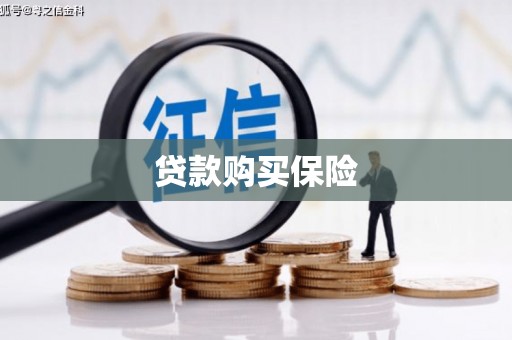 息县贷款购买保险