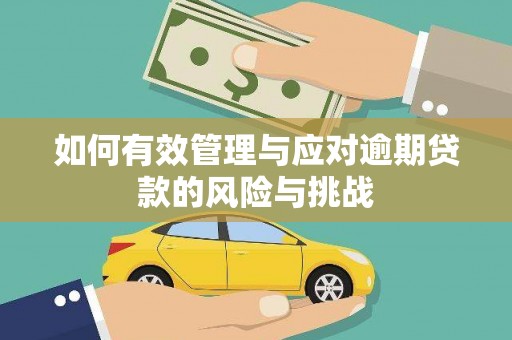 息县如何有效管理与应对逾期贷款的风险与挑战