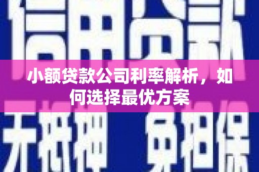 息县小额贷款公司利率解析，如何选择最优方案