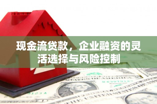 息县现金流贷款，企业融资的灵活选择与风险控制