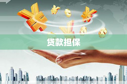 息县贷款担保