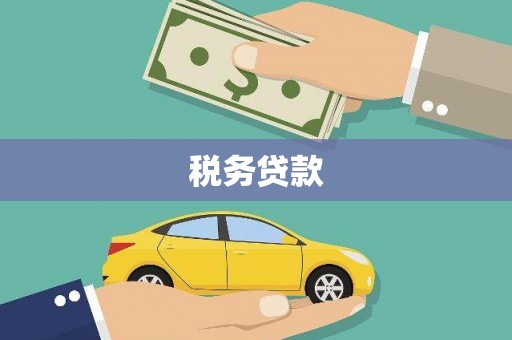 息县税务贷款