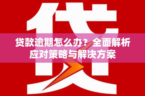 息县贷款逾期怎么办？全面解析应对策略与解决方案